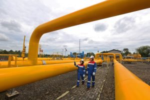 Pembangunan Infrastruktur Gas Bumi PGN Perkuat Utilisasi Gas Domestik
