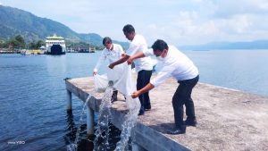 DKP Provsu dan Pertanian Samosir Tebar 30.000 Ekor Benih Ikan di Danau Toba
