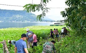 Pemkab Samosir Kerahkan Truk Sampah Bersihkan Eceng Gondok di Danau Toba