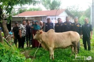 Idul Adha 1445 H, DPW PPMI Sumut Laksanakan Penyembelihan Hewan Qurban Bantuan Pemprov Sumut