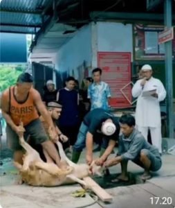 Rutan Kelas I Tanjung&nbsp; Gusta Medan&nbsp; Hari Raya Idul Adha 1445 H. Qurban 11 Ekor Lembu dan 4 Ekor Kambing