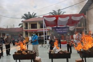 Polres Langkat Musnahkan 9.220,62 Gr Sabu Dan 92.057,65 Gr Ganja Kering