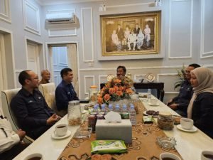 PLN UP3 Binjai Kunjungi Walikota Paparkan Kondisi Kelistrikan