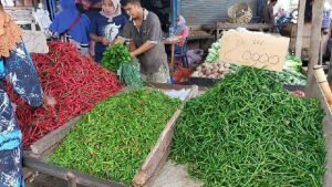 Menjelang Pilkada Serentak,Harga Komoditas Pangan di Sumut Cenderung Turun