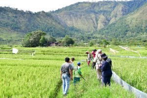 Pemkab Samosir Bersama Provsu Berikan Bantuan Kepada Petani