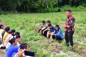 Kelompok Tani Saurdot Desa Sampur Toba Panen Bawang Merah