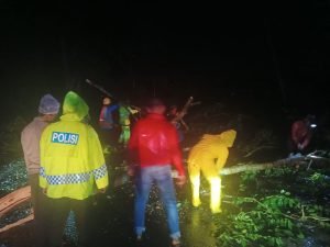 Akibat hujan dan angin kencang mengakibatkan pohon tumbang melintang dijalan Proklamasi Stabat