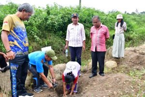 Pemkab Samosir Tanam Pohon Diwilayah Rawan Bencana