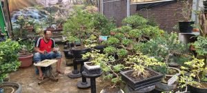 Menelik Tanaman Bonsai, Pembinaan Inspiratif Lapas Medan Pada Warga Binaan