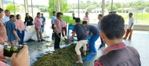 Dukung Sektor Pertanian Rakyat, PLN Serahkan TJSL untuk P3A Di Toba