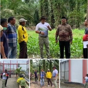 Cegah Banjir, Kepala Lapas Narkotika Langkat Kontrol Kondisi Drainase