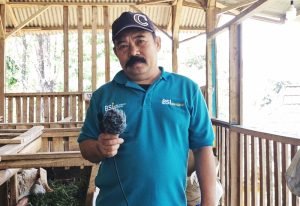 Desa BSI Lebak Cikaracak: Kisah Sukses Peternakan Domba dan Kuliner yang Mengangkat Ekonomi