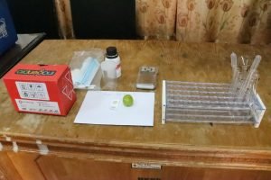 Pemkab Samosir Lakukan Rapid Test Residu Pestisida Anggur Shine Muscat