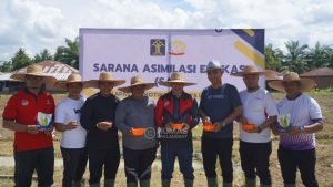 Dukung Program Ketahanan Pangan Presiden dan Menteri, Lapas Narkotika Langkat Manfaatkan Lahan Sebagai Area Pertanian
