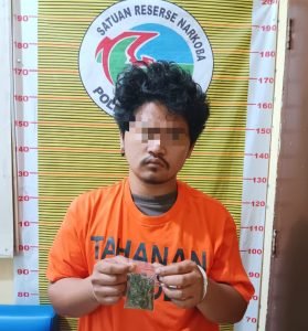Polres Samosir Tangkap Pria Diduga Pemilik Narkotika Jenis Ganja