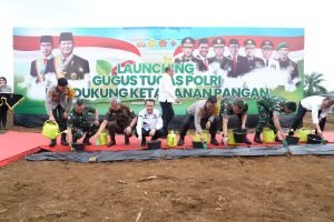 Poldasu siapkan 50 Ha Lahan untuk Ditanami