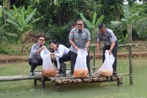 Dukung Ketahanan Pangan Lapas Pancur Batu Gelar Penaburan 2500 Ekor Benih Ikan Mas