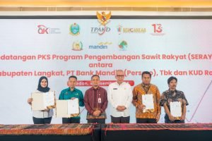 Evaluasi Program Kerja dan Capacity Building TPAKD se-Sumatera Utara: Sinergi Tingkatkan Inklusi Keuangan Daerah