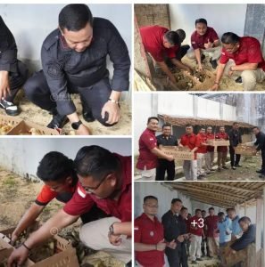 Kembangkan Pembinaan Peternakan, Lapas Narkotika Langkat Mulai Budidaya Bebek Dukung Penuh Ketahanan Pangan Nasional