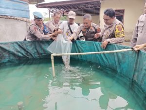 Kapolsek Hinai Dukung Ketahanan Pangan dengan Budidaya Ikan Lele