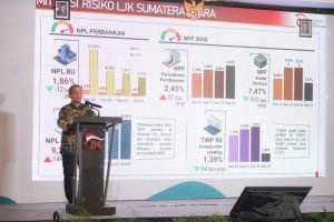 OJK Dorong Inovasi Dan Pertumbuhan Ekonomi Sumut Melalui SEFI 2024