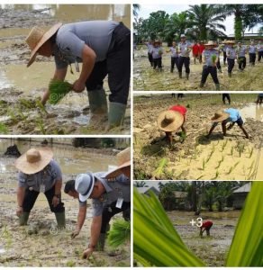 Galakkan Ketahanan Pangan, Lapas Narkotika Langkat Asah Keterampilan Pertanian WBP