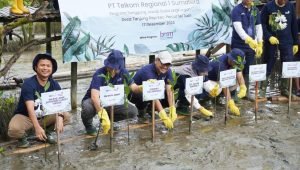 Telkom Regional 1 Tanam 5.000 Bibit Mangrove di Desa Tanjung Rejo