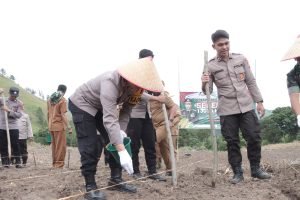 Polres Samosir Ikut Penanaman Jagung 1 Juta Hektar Sebagai Program Ketahanan Pangan