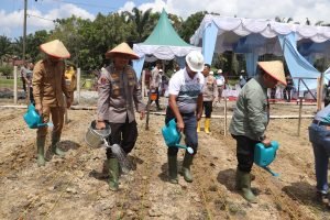 Penanaman Jagung Serentak 1 Juta Hektar: Wujud Nyata Program Ketahanan Pangan
