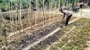 *Dukung Ketahanan Pangan, Bhabinkamtibmas Polsek Stabat Sambangi Petani di Desa Sumber Mulio*Langkat-blinkiss.id Dalam upaya mendukung program ketahanan pangan nasional yang dicanangkan Presiden RI, Prabowo Subianto, Bhabinkamtibmas Polsek Stabat, Bripka Hendra Gultom, melaksanakan sambang sekaligus pengecekan lahan pertanian di Desa Sumber Mulio, Kecamatan Wampu, Kabupaten Langkat, pada Jumat (24/1/2025).Dalam kunjungannya, Bripka Hendra Gultom bertemu langsung dengan Bapak Sukardi, seorang petani yang telah lama mengelola lahan pertaniannya sebagai sumber utama ketahanan pangan di desa tersebut. Ia meninjau berbagai aspek pertanian, mulai dari kondisi tanaman, sistem irigasi, hingga kendala yang dihadapi para petani.“Pertanian adalah salah satu pilar utama dalam menjaga ketahanan pangan. Kami hadir untuk memastikan bahwa para petani mendapat dukungan yang mereka butuhkan, baik dalam keamanan maupun dalam kelangsungan usaha mereka,” ujar Bripka Hendra Gultom.Selain itu, ia juga memberikan edukasi tentang pentingnya menjaga keamanan lingkungan pertanian agar terhindar dari pencurian hasil panen dan gangguan lainnya. Tak hanya itu, Bhabinkamtibmas juga mengajak para petani untuk tetap semangat dan berinovasi dalam bertani guna mendukung swasembada pangan.Kapolres Langkat AKBP David Triyo Prasojo, S.H., S.I.K., M.Si., melalui Kasi Humas Polres Langkat, menegaskan bahwa Polri mendukung penuh program ketahanan pangan nasional dengan terjun langsung ke masyarakat untuk membangun komunikasi serta memberikan solusi terhadap kendala yang dihadapi petani.“Ketahanan pangan adalah tanggung jawab bersama. Polri akan terus bersinergi dengan masyarakat, khususnya petani, dalam menjaga stabilitas pangan dan menciptakan lingkungan pertanian yang aman serta kondusif,” tegasnya.(yani)