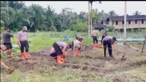 Mendukung Program 100 Hari Kerja Presiden, Brimob Polda Sumut Produktif Kelola Lahan Untuk Ketahanan Pangan