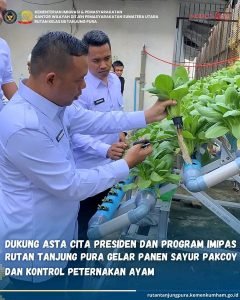 DUKUNG ASTA CITA PRESIDEN IMIPAS RUTAN TANJUNG PURA GELAR PANEN SAYUR PAKCOY DAN KONTROL PETERNAKAN AYAM