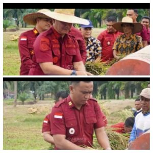 Panen Raya Padi, Lapas Narkotika Langkat Wujudkan Program Ketahanan Pangan Nasional