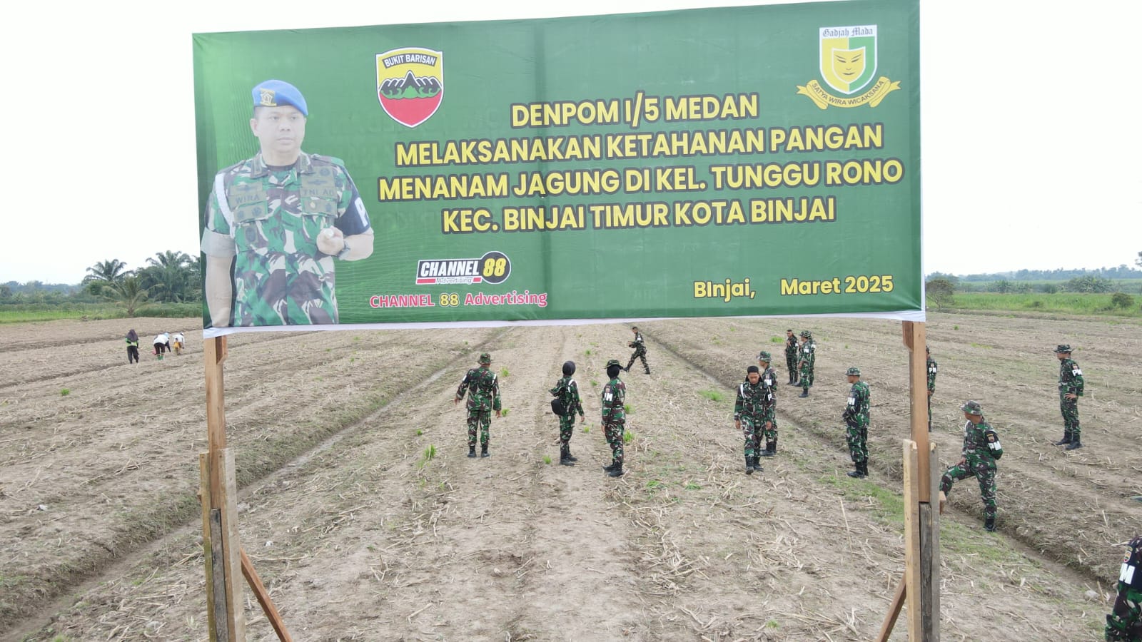 Personel Denpom I/5 Medan Tanam Bibit Jagung di Binjai, Dukung Ketahanan Pangan