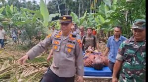 Mayat Lansia Ditemukan di Perladangan Kutalimbaru, Diduga Meninggal Karena Sakit