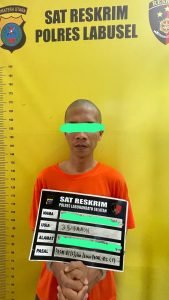 Polres Labusel Ungkap Kasus Pria Beristri Cabuli Tiga Gadis di Bawah Umur, Satu Korban Hamil