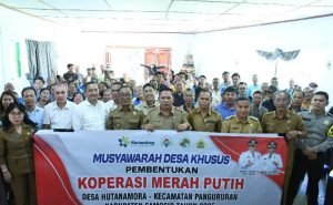 Wabup Samosir Nyatakan Koperasi Merah Putih Sudah Terbentuk di Semua Desa dan Kelurahan