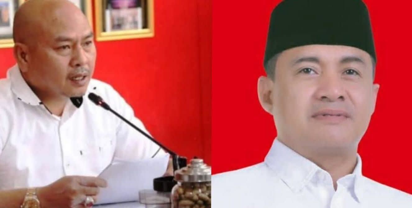 Sosok Nikson Nababan dan Zahir Diusulkan Calon Ketua DPD PDIP Sumut