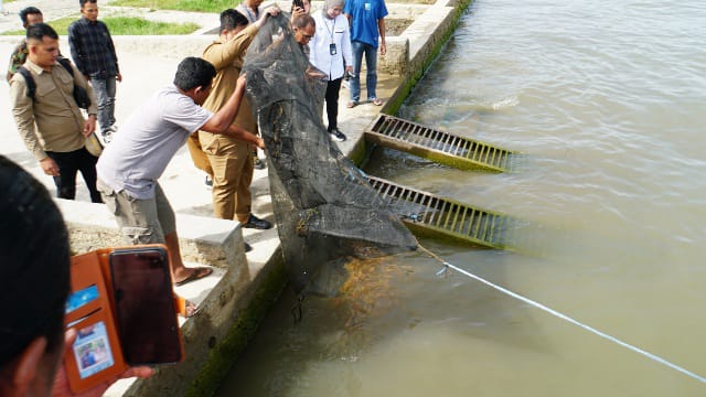Pemkab Samosir Bersama Perum LKBN Antara Tebar 3.000 Ekor Benih Ikan Mas