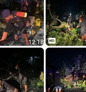 Brimob Polda Sumut Sigap Evakuasi Pohon Tumbang, Wujud Nyata Kehadiran di Tengah Masyarakat Pematangsiantar