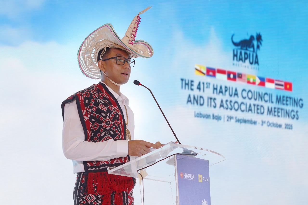 PLN Dorong Interkoneksi ASEAN Power Grid untuk Akselerasi Transisi Energi