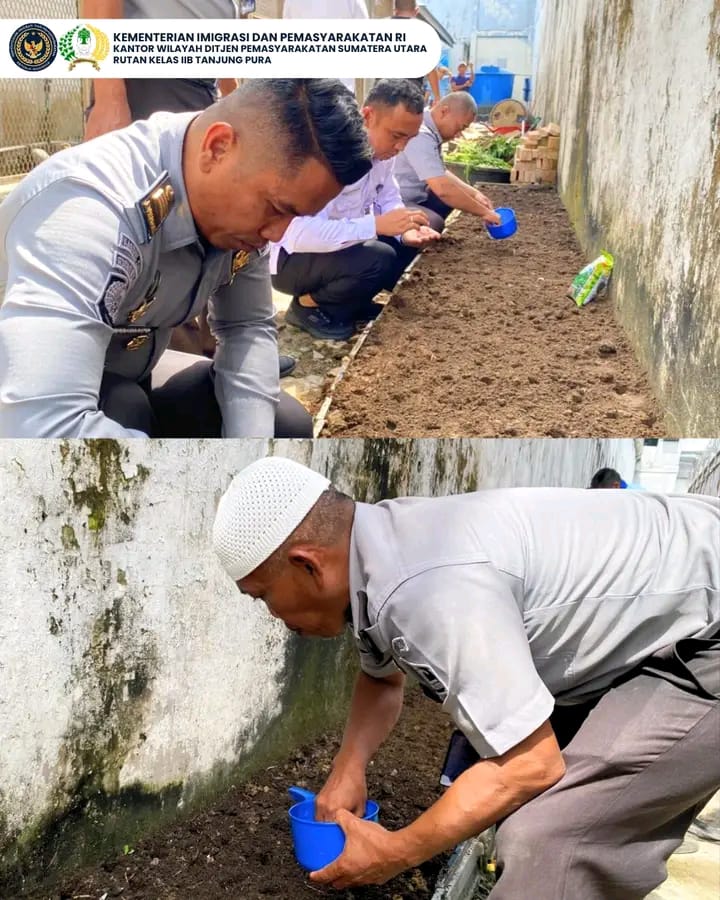 Dukung Ketahanan PanganRutan Tanjung Pura Kembali Menanam Bibit Tanaman Kangkung Darat
