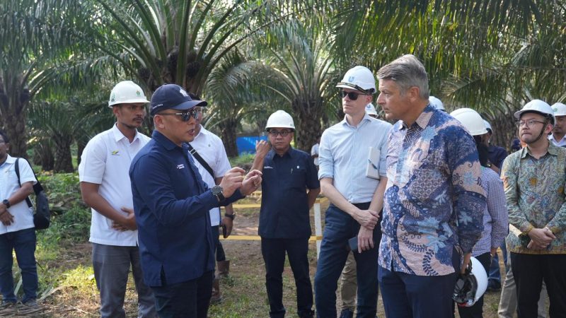 Dubes Uni Eropa Apresiasi Keselarasan PTPN IV PalmCo dengan Tiga Pilar Utama Industri Sawit Berkelanjutan