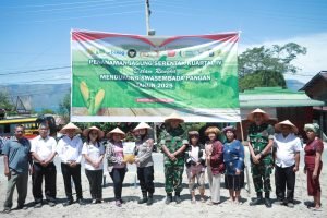 Polres Samosir Tanam Jagung Serentak Kuartal IV Dorong Ketahanan Pangan Nasional