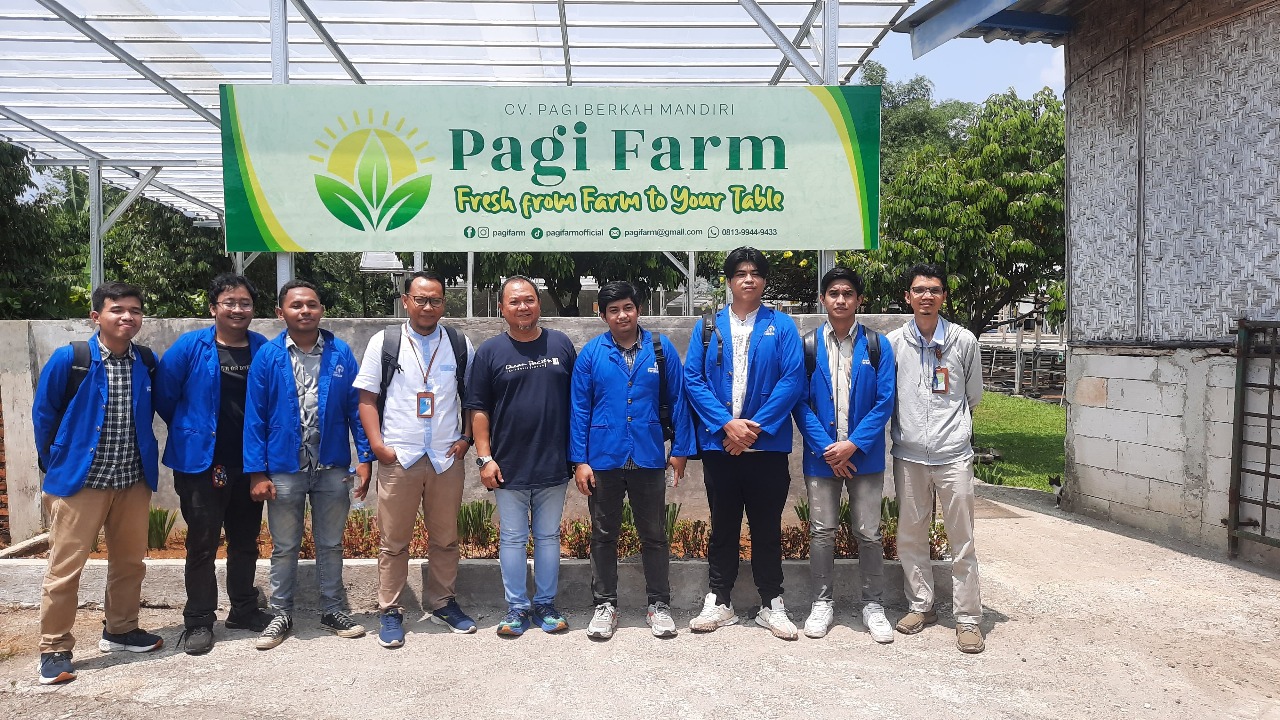 Tanam Harapan di Tengah Beton: UPER Hadirkan Urban Farming yang Ramah Lingkungan