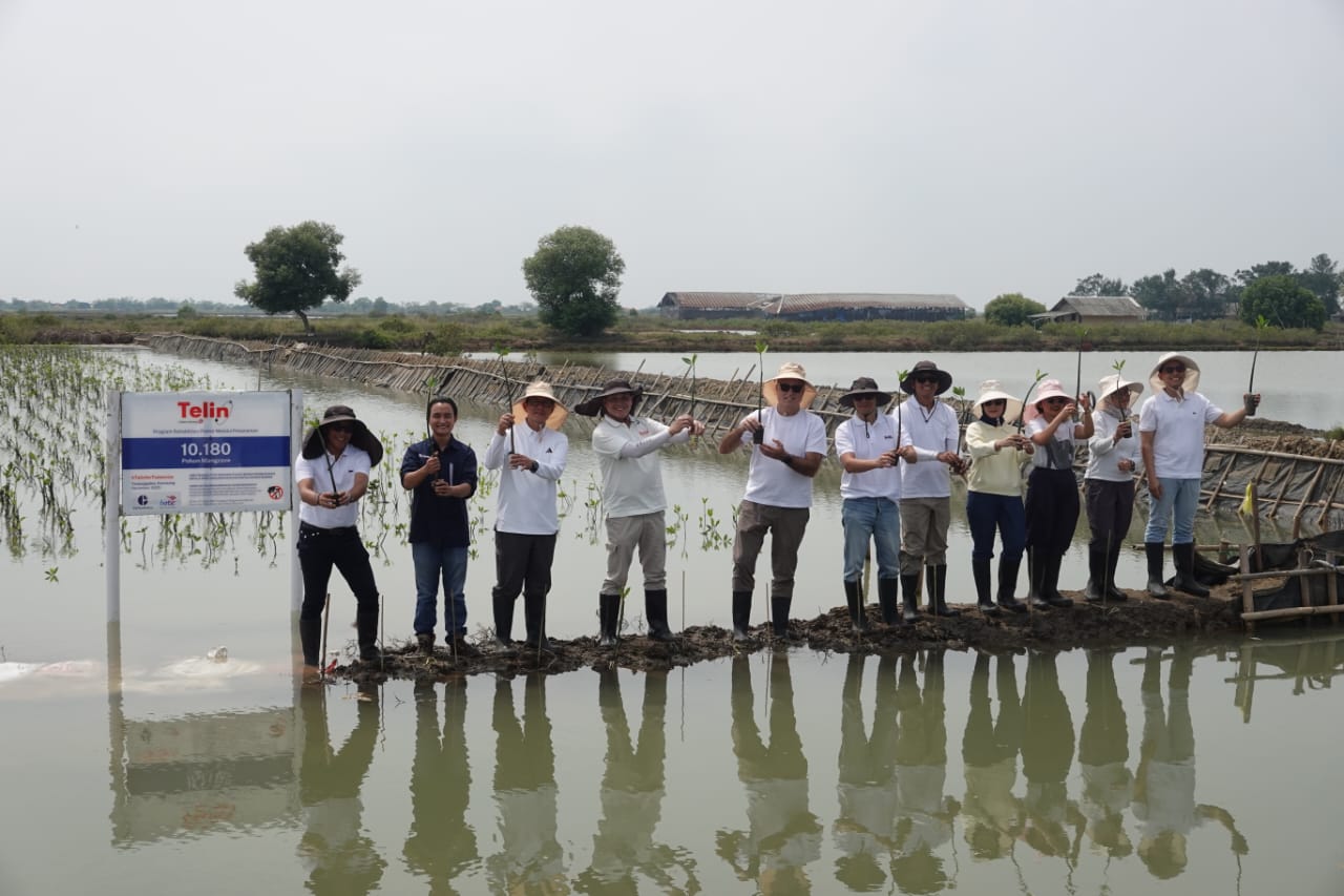 Telin Tanam 10.180 Mangrove, Wujudkan Komitmen Keberlanjutan BATIC 2025
