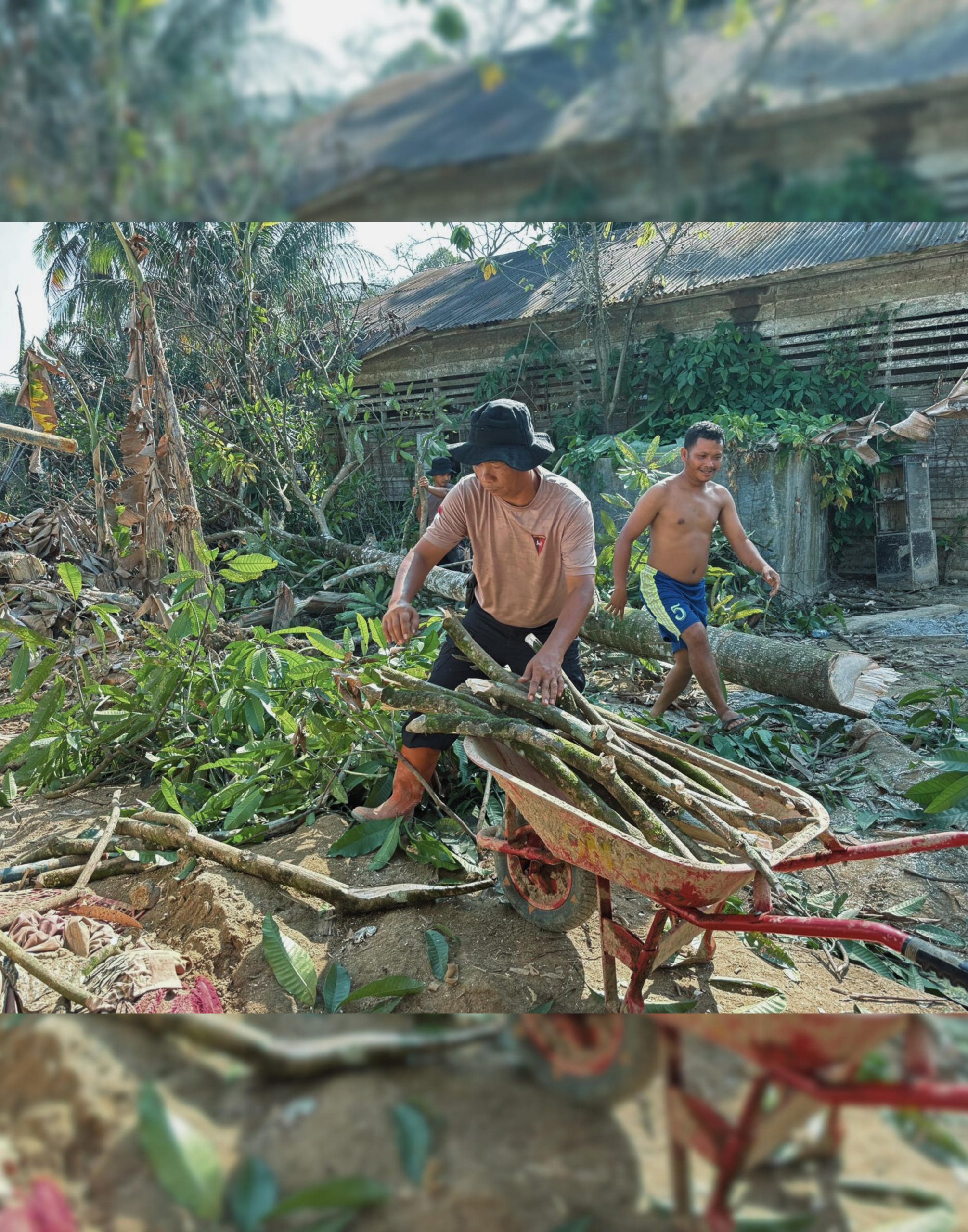 Brimob Sumut Hadir Lindungi Warga, Ancaman Pohon Mati Ditangani Pascabencana Batang Toru