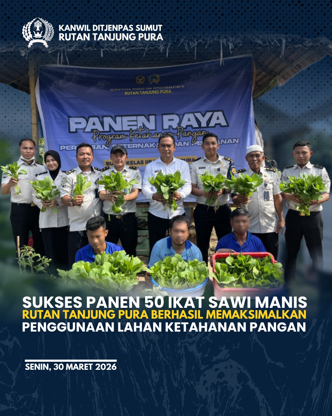 Sukses Panen 50 Ikat Sawi ManisRutan Tanjung Pura Berhasil Maksimalkan Penggunaan Lahan Ketahanan Pangan