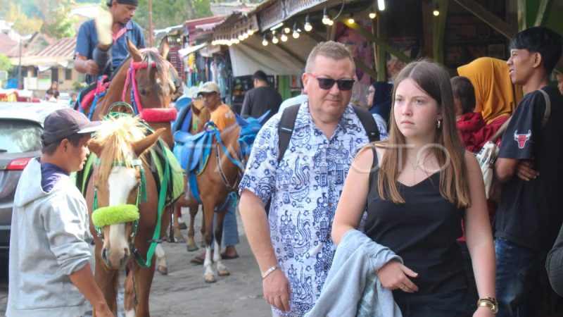 Jumlah Kunjungan Wisman ke Provinsi Sumut, Februari 2026 Naik 10,04 Persen