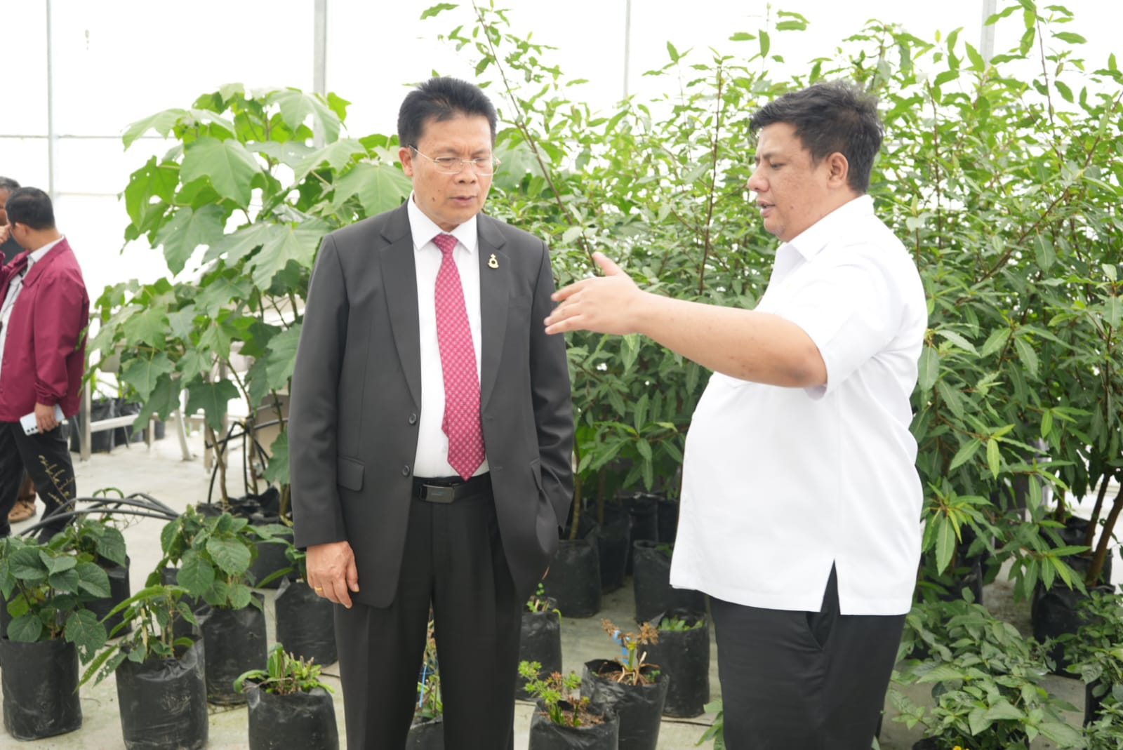 Bupati Samosir Dukung Transformasi Digital Sektor Pertanian, Ketua DEN Hadir Bahas Pertanian AI